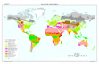 Global Biomes map