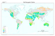 Global Soil Inorganic Carbon map