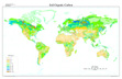 Global Soil Organic Carbon map