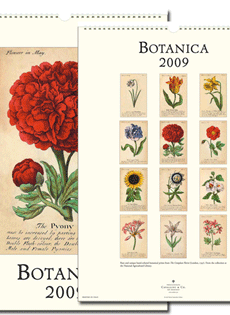 Botanica Wall Calendar