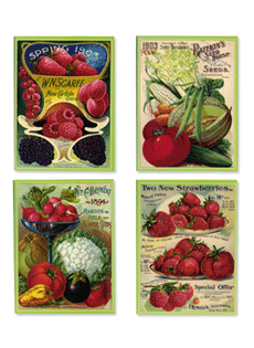 Farmer's Market Recipe Note Card Portfolio