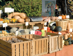 Fall produce at a farmer's market stand