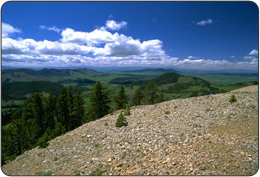 The $22 million investment combined the wildlife science and land-managing expertise of Interior agencies with the knowledge and experience of local communities, companies and conservation groups to rehabilitate and protect working landscapes, while continuing to provide access to their vital energy resources for the nation.