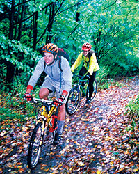 Students mountain biking in the woods