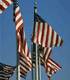 American Flags