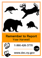 graphic of harvest reporting with phone number and web address information