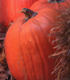 Photograph of a pumpkin.