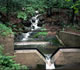 Weir on Marcell Experimental Forest