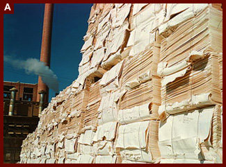 Southland Paper mill, Kraft (chemical) pulp used in making newsprint, Lufkin, Texas. 1943