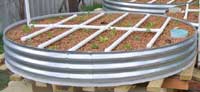 Backyard Aquaponics in Western Australia.