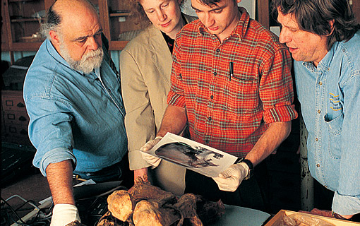 Student and professors looking at an x-ray of a mummy