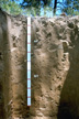 Photograph of a profile of the Dunton soil series.