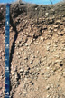 Photograph of a profile of the Olpe soil series.