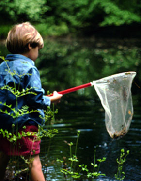 Environmental Education image