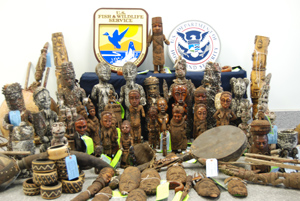  Elephant ivory seized included these items from four shipments (worth some $250,000); smugglers used clay or resin-like substances for concealment. Credit: USFWS
