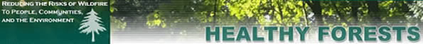 The title bar of the previous Healthy Forests website.