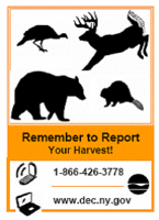 Game Harvest Reporting Icon and Link