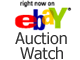 eBay Auction Watch