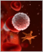 an artist's rendering of cells streaming through a blood vessel 