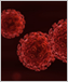 an illustration of HIV viruses.
