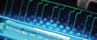 Reprogrammable microfluidic devices (PNAS, Nov. 9, 2004)