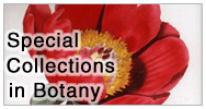 special collections in botany