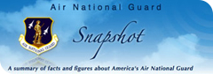Air National Guard Snapshot