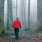 A hiker explores Shenandoah on a foggy day.