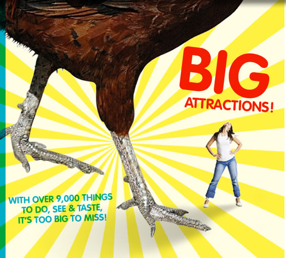 Big Attractions - Things To Do at the Fair!