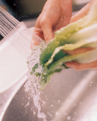 washing produce