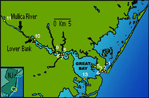 Map of buoys used to track fishes at stripertracker.org