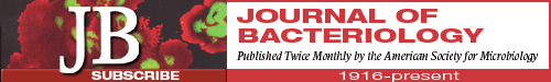 Logo of jbacter