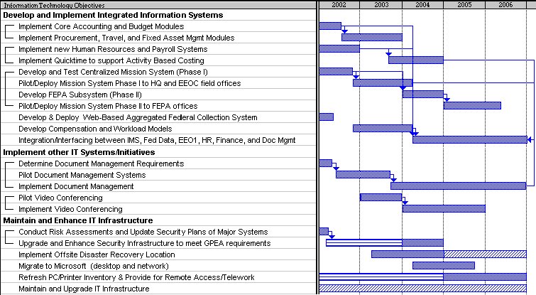 Chart: Five-Year Information Resources Management Strategic Plan