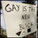 Protesters gather in Sacramento, Calif., to protest the passage of Proposition 8. Credit: Robert Durell/AP