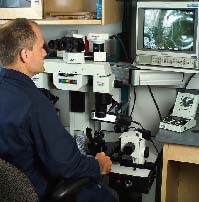 FTU comparison microscope makes it possible to observe two specimens simultaneously. The monitor next to the microscope displays the image.