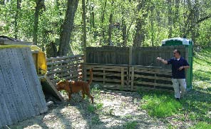 Human Scent Evidence Team canine conducting a match-to-sample check during a child abduction/murder investigation