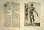 Juan Valverde de Amusco, Anatomia del corpo humano
