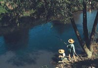 Boys fishing in a bayou