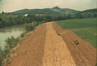 Planting corn along a river