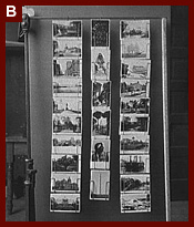 Wire postcard display rack. Between 1900 and 1910