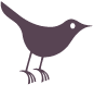 Profile_bird