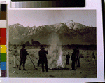[Burning leaves, autumn dawn, Manzanar Relocation Center, California]