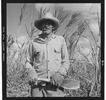 Unidentified farmer, half-length portrait, facing front, standing among sugarcane plants, holding machete