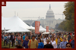 Visitors on the National Mall in Washington, D.C. for the National Book Festival, with the U.S. Capitol in the background