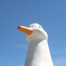 Duck_bigger