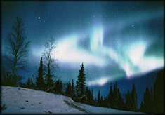 Photo:  white swirls of light in a dark blue sky, trees and show in the foreground.