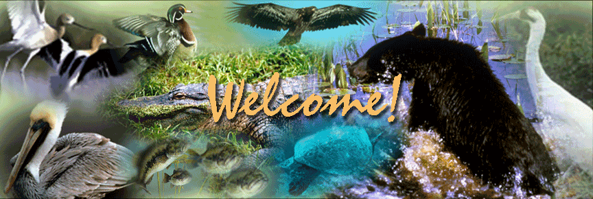 Welcome Collage Art
