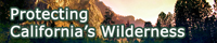 Wilderness banner