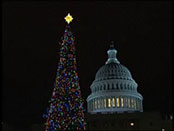 Senator Tester Speaks at the Lighting of the Capitol Christmas Tree