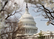 Capitol Dome